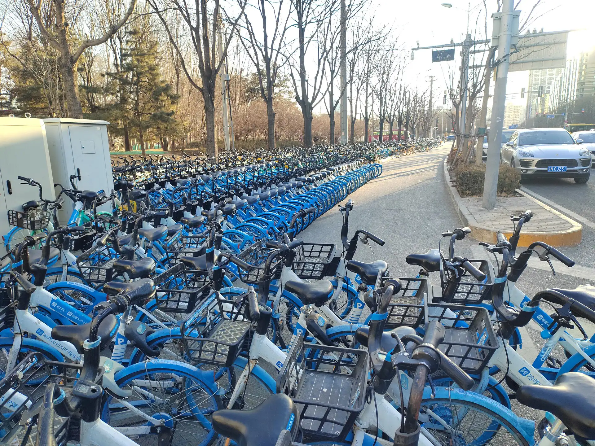 Dicht an dicht abgestellte blaue Leihräder auf einer Fläche in Peking
